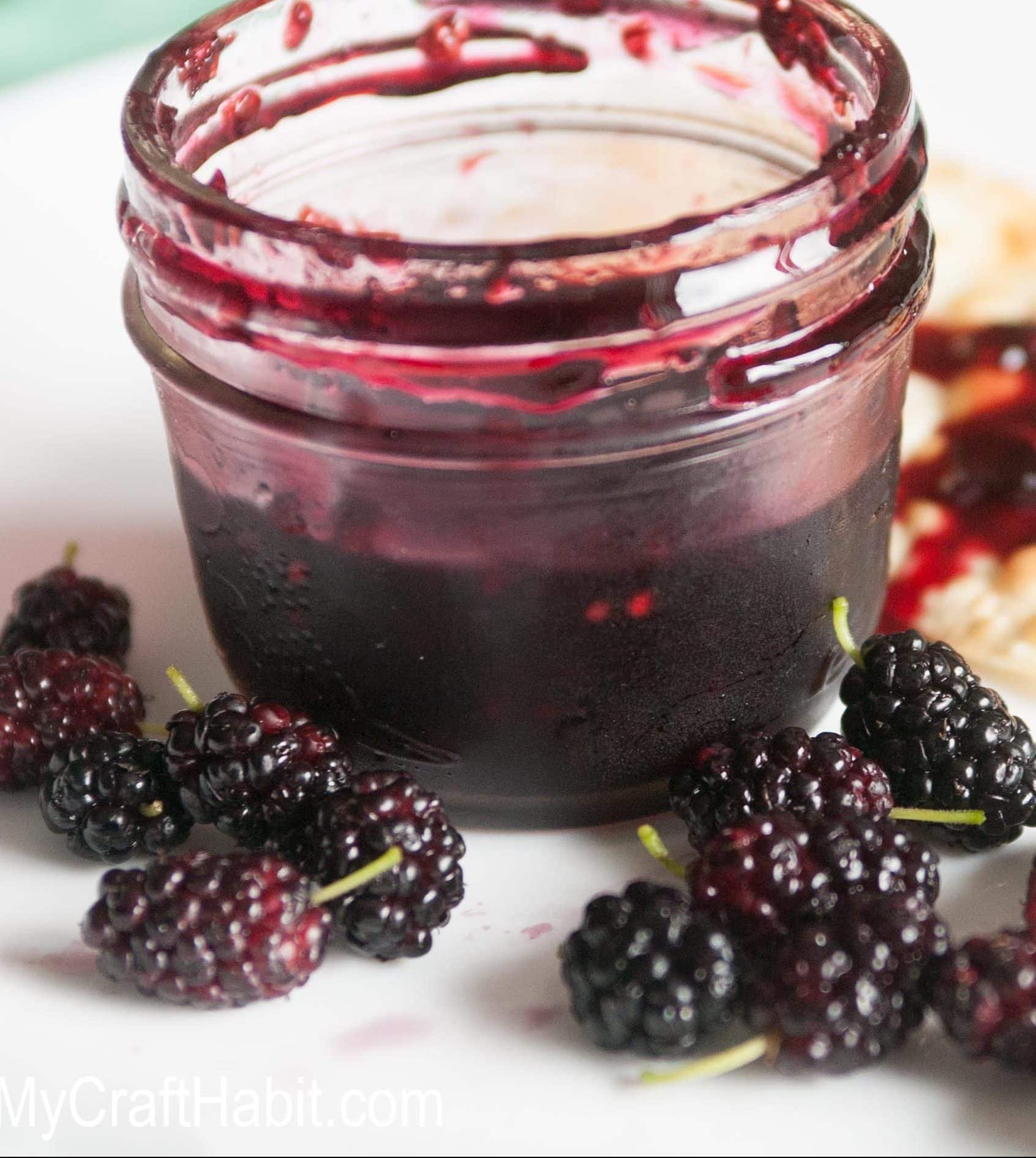 Classic Mulberry Jam
