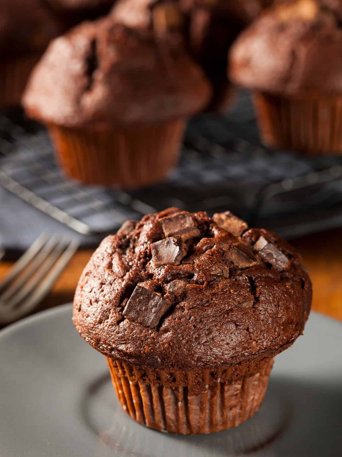 Chocolate Muffins