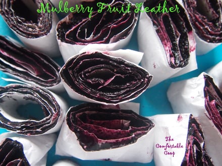 Mulberry Fruit Leather
