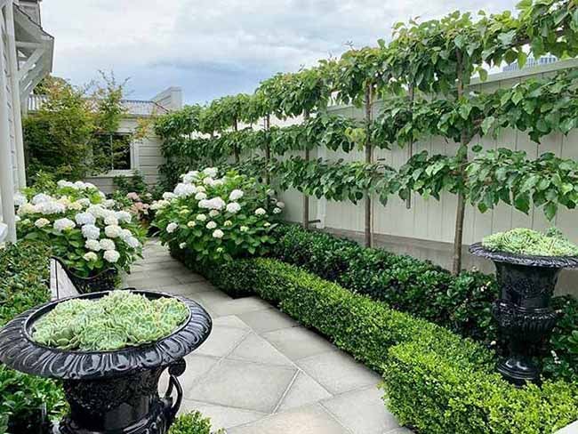 Use Plants to Layer Your Fence Line for Natural Privacy