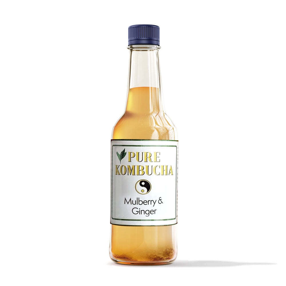 Mulberry-Ginger Kombucha