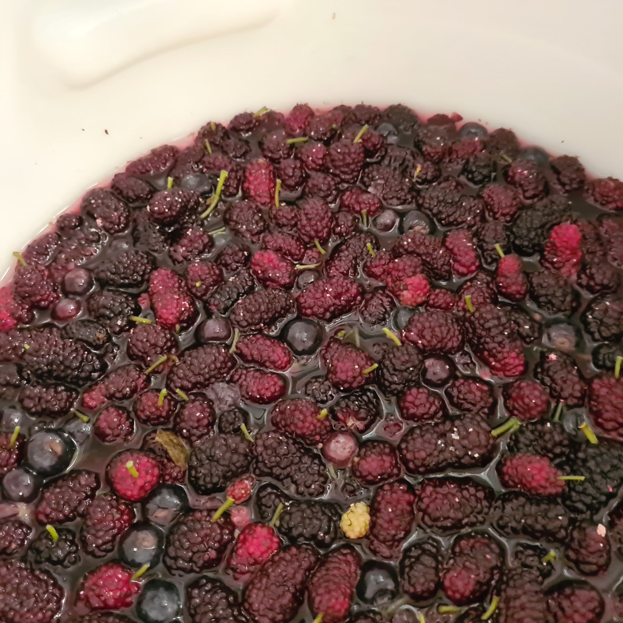 Mulberry Wine