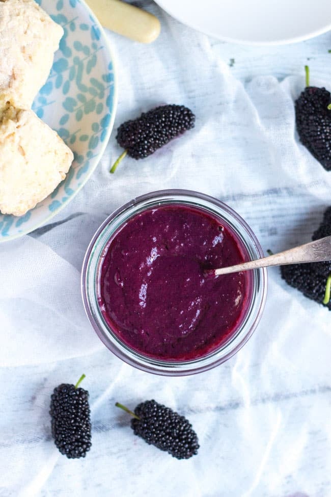 Mulberry-Lime Curd
