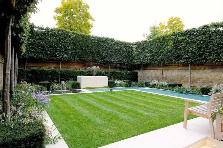 Cover Fences With Evergreen Plants