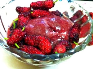 Mulberry-Basil Sorbet