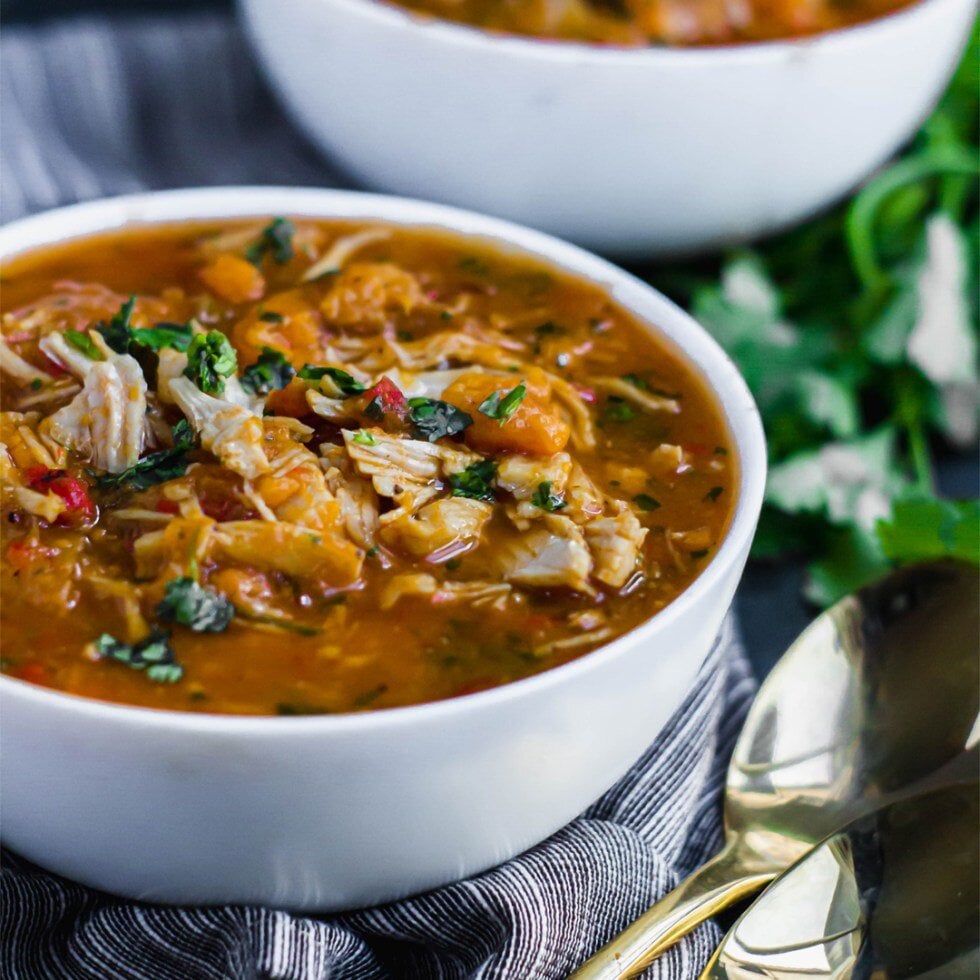Salsa Chicken Stew