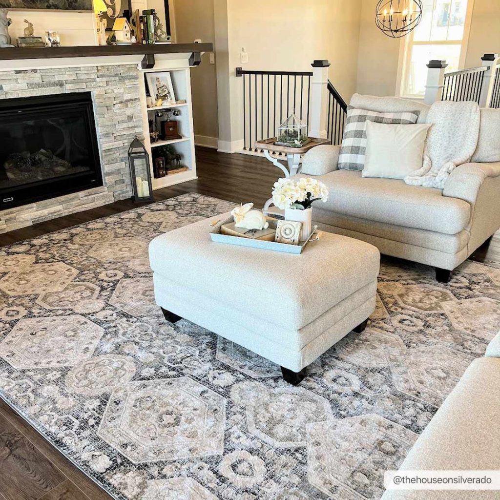 Minoa area rug 