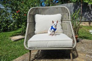 . Comfortable Outdoor Furniture Sets