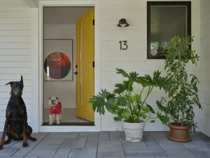 Change Your Door Color