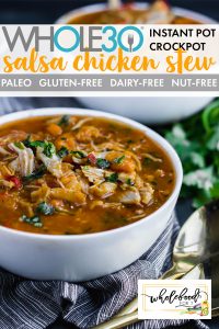 Salsa Chicken Stew