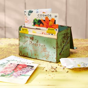 Seed Packet Organizer