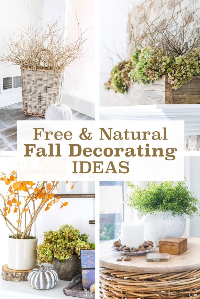Bring Nature Indoors—Fall Edition